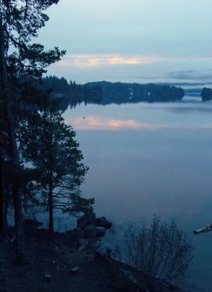 湖, 日出, 几点思考, 树, 剪影, 蓝色