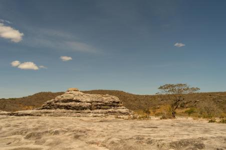 岩石, 悬崖, catimbau 河谷, 龟石