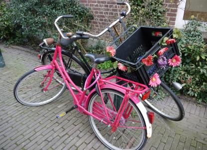自行车, 荷兰语, 荷兰, 车轮, 车轮, 女式自行车