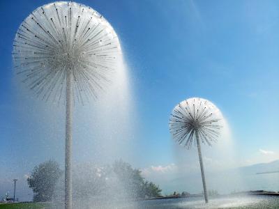 水, 喷泉, 花形, 流利, 水功能, 夏季的一天, romanshorn