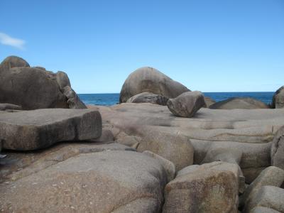 岩石, 岩石, 石头, 海岸线, 岩石岸线, 生态学, 环境