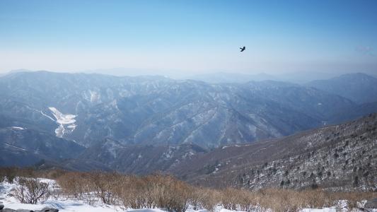 太白, 返回页首, 山, 雪, 景观, 冬山, 大韩民国