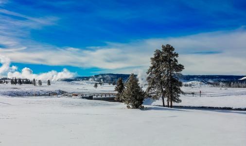 黄石, 国家公园, 怀俄明州, 冬天, 雪, 景观, 自然