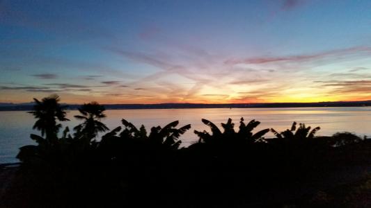 康斯坦茨湖, 棕榈树, 日落, 水, 湖, 天空, abendstimmung