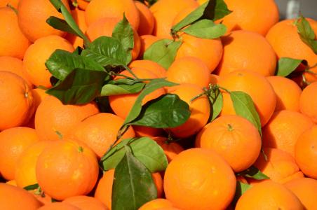 橘子, 水果, 柑橘类水果, 农民本地市场