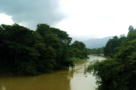马哈威利里奇河, 河, 绿树, 天空, 多云的天空, 斯里兰卡, 锡兰