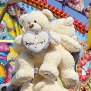 地段店, 毛绒玩具, 毛绒玩具的熊, 每年的市场, 公平, 多彩, 民间的节日