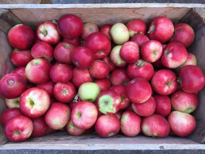 苹果, 农民市场, 购物篮, 新鲜, 水果, 健康, 有机