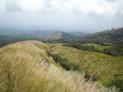 芒 arjuno, 草地, 印度尼西亚语, 自然, 山, 小山, 景观