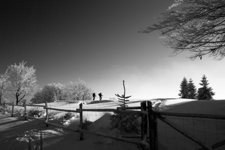 栅栏, 雪, 冬天, 树木, 植物, 旅行, 人
