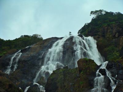 dudhsagar, 瀑布, 果阿, 印度, 西高止山脉, sahyadri, dudh 萨加尔