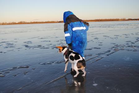 冬天, 狗, 男孩, 冰激淋, 湖, 结冰的湖面