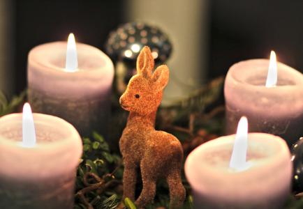 到来花圈, 蜡烛, 獐鹿, 来临, 圣诞节, 光, 装饰