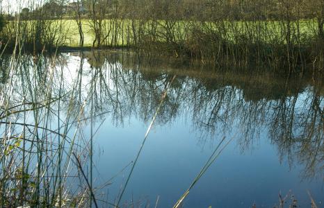 池塘, 冬天, 湖, 几点思考, 自然, 水, 反思