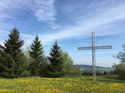 十字架, 森林, 青年, hoheneiche, 绿色, 基督教, 花
