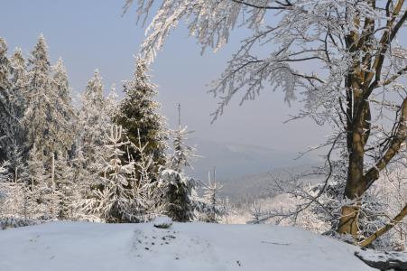 冬天, 雪, 山脉, 树, 景观, 视图, 捷克共和国
