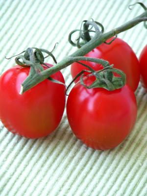西红柿, 红色, 素食主义者