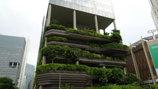 新加坡, 建筑好奇, 绿色