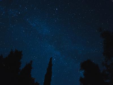松树, 树, 晚上, 摄影, 天空, 星级, 明星-空间