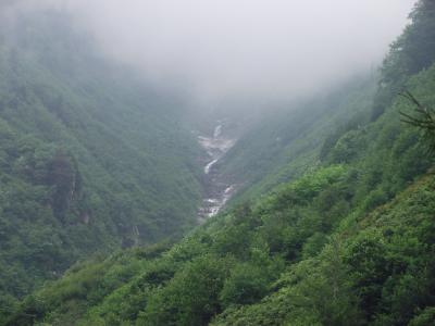 ayder, 瀑布, 森林, 土耳其, 自然, 和平, 打开空气