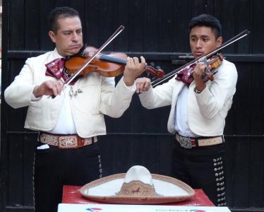 mariachis, 音乐家, 墨西哥, 小提琴, 帽子