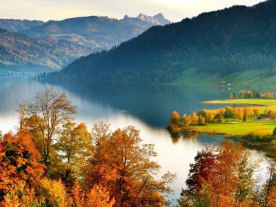 湖, 景观, 秋天, 瑞士, ägerital, 令人印象深刻, 自然