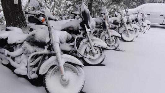 哈雷 · 戴维森, 摩托车, 雪, 白雪皑皑, 冬天, 大雪封门