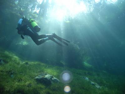 跳水, 绿湖, 森林, 草甸, 浮法, 水下, 水肺潜水