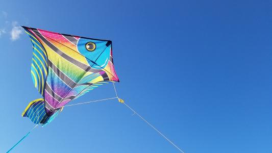 风筝冲浪, 杰克逊维尔, 佛罗里达州, 蓝色, 多色, 复制空间, 风筝-玩具