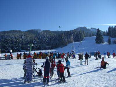 滑雪课程, 儿童滑雪课程, 滑雪教练, 滑雪, 冬天, 白色, 蓝色