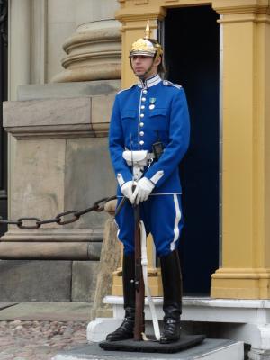 瑞典, 警卫队, 男子, 人, 统一, 皇家, 蓝色
