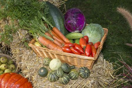 感恩节, 水果, 节日, 蔬菜, 秋天, 农业, 收获