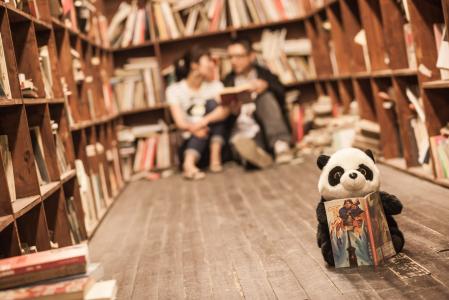 图书馆, 夫妇, 熊猫, 书, 书架, 教育, 学生