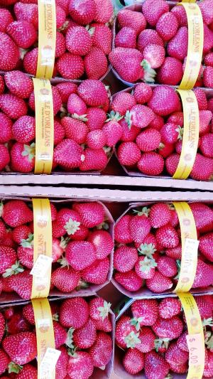 红色, 草莓, 食品, 浆果, 水果, 草莓, 成熟