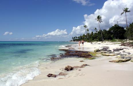 bayahibe, 东部国家公园, 全国公园, 圣拉斐尔·犹马, la 住宿, 多米尼加共和国, 加勒比海