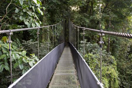 桥梁, 雨林, 哥斯达黎加, 栏杆, 绳桥, 桥-男人作结构, 行人天桥