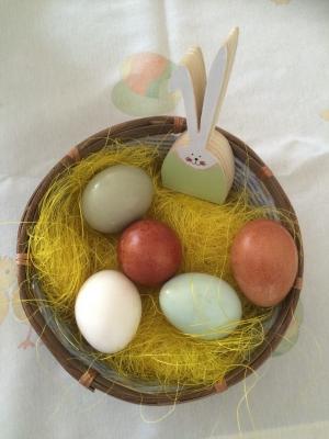 复活节的巢, 自然颜色的蛋, 兔子
