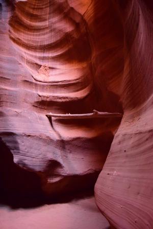 羚羊峡谷, 神秘, 亚利桑那州, 沙子, 木材