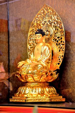 佛陀, o 质量转子, 金身体