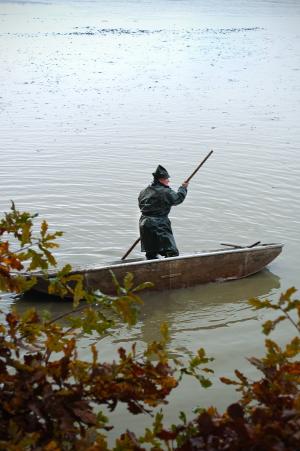 划艇, 渔夫, 一个, 水, 池塘, 布什, 湿法