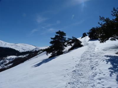 徒步旅行, 山, 冬天, 雪, 白色, 冷杉, 阿尔卑斯山