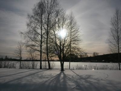 太阳在树后面, 雪, 瑞典
