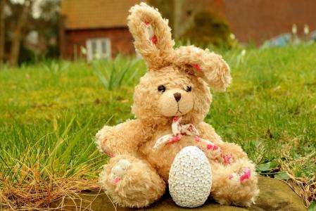 野兔, 软玩具, 织物, 毛绒玩具, 玩具熊, 可爱, 可爱