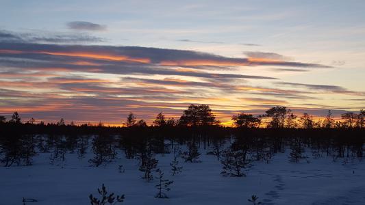 日落, 太阳, 晚上, 沼泽, 芬兰语, 天空, 冬天