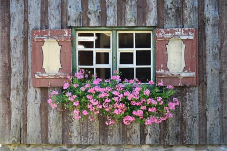 窗口, 窗台, 花, 百叶窗, 气氛, 农舍, 巴伐利亚