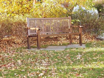 公园的长椅上, 板凳, 座位, 座位, 休息, 放松, 秋天