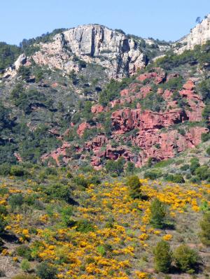 景观, 一起, 红砂岩, aulaga 佛罗里达, 春天, 岩石-对象, 山