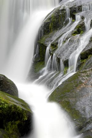 特里贝格, 瀑布, 水, 自然之力, 黑色的森林