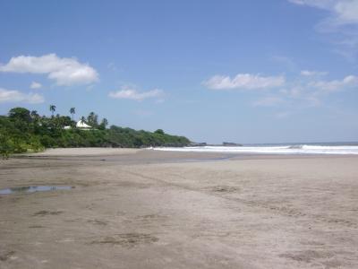 杏仁, 海滩, 地平线, 哥斯达黎加