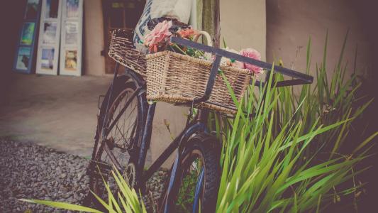 自行车, 花, 商店, 复古自行车, 购物篮, 年份, 老